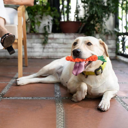 3 PCS Carrot Dog Rope Toys for Dogs, Durable Chew Toys for Aggressive Chewers, Entertainment and Interaction, Teeth Cleaning and Chewing, All-Cotton
